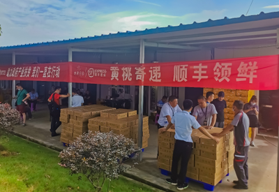 滿載感恩而來,順豐速運(yùn)“投桃報(bào)你”致敬最美逆行者