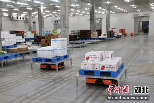 中新網(wǎng)湖北 實(shí)探湖北襄陽一生鮮物流中心 機(jī)器人助力分揀