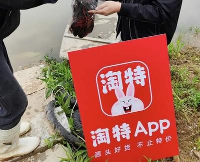 五環(huán)外的角逐,淘特2年俘獲3億用戶,下沉市場大有可為